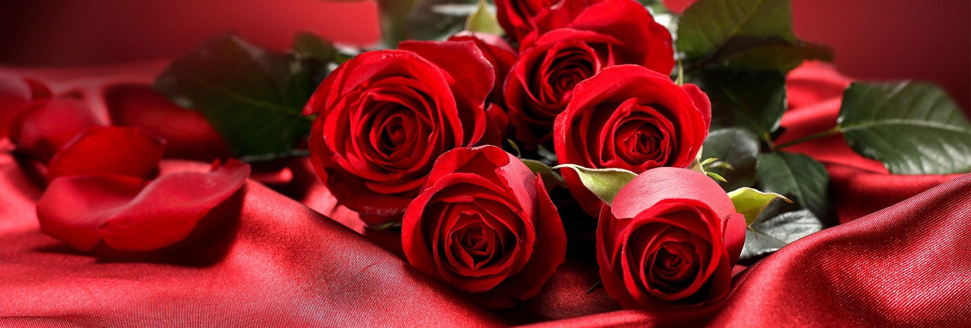 roses-banner